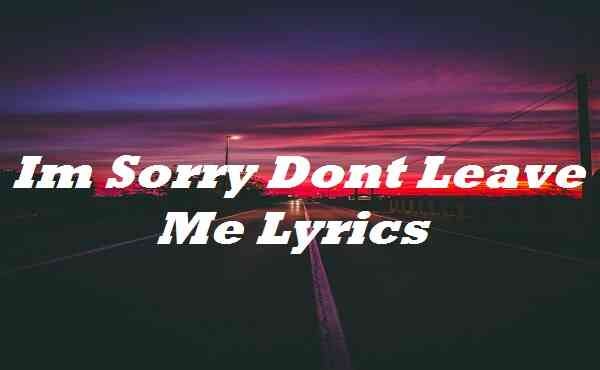 im sorry dont leave me lyrics