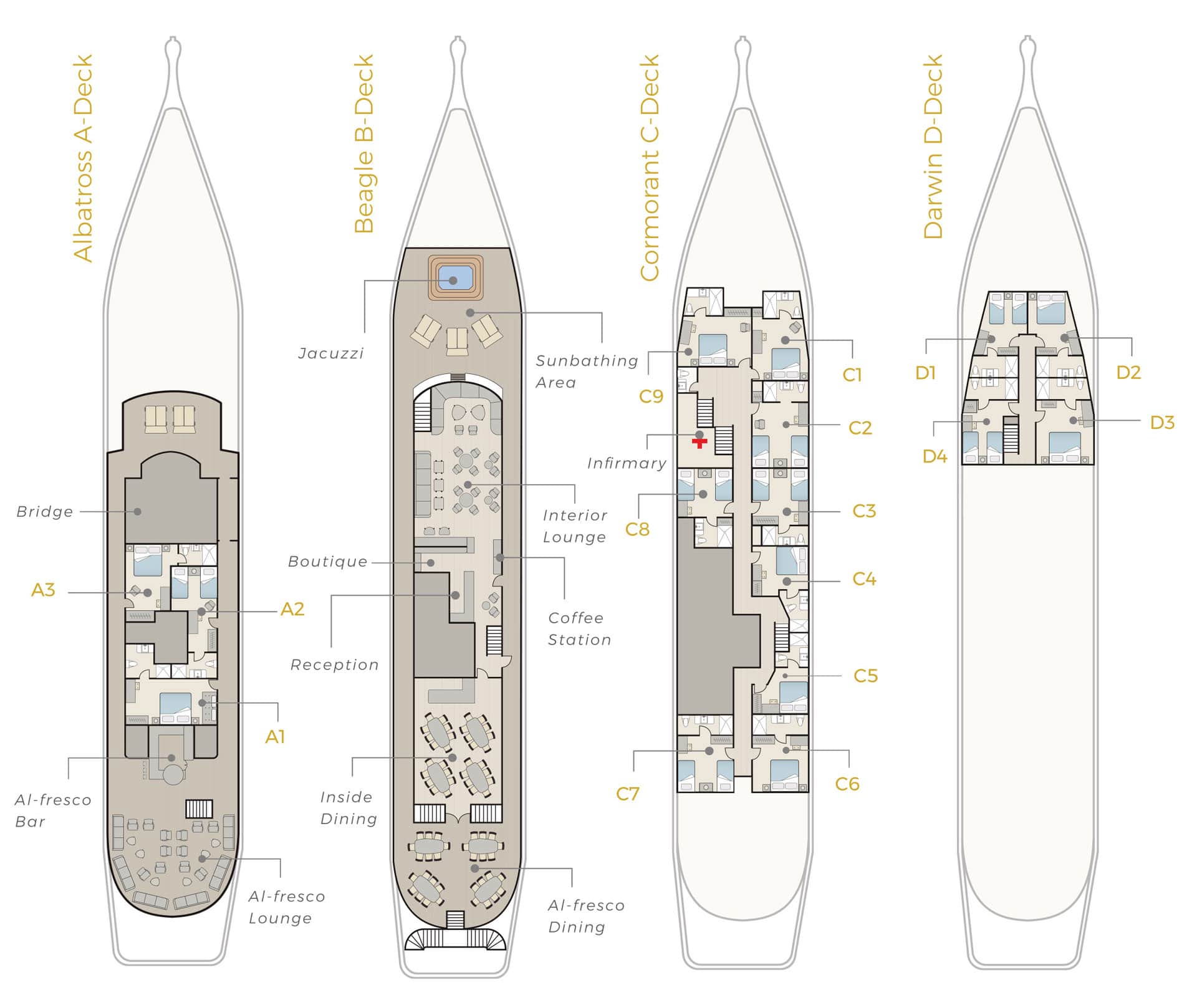 mv evolution deck plan