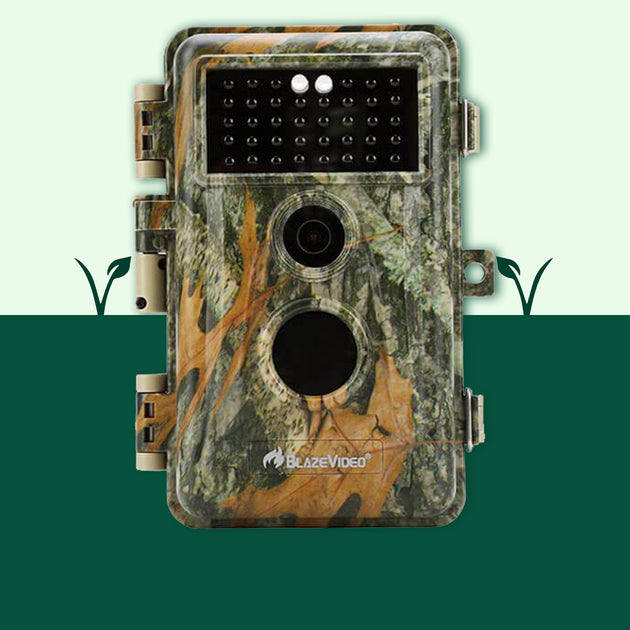 blaze video trail camera