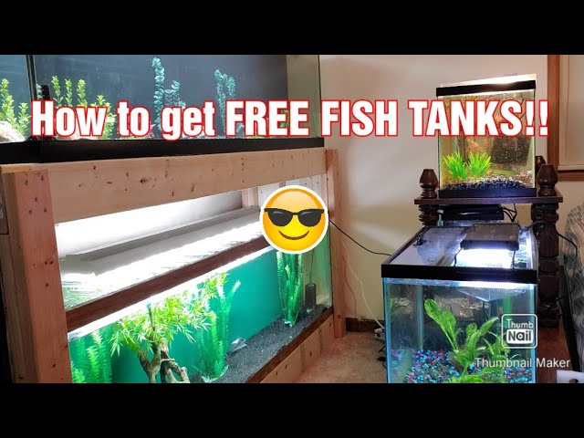 fish tanks for free