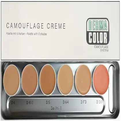 derma concealer palette price