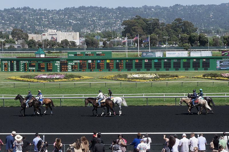 golden gate fields free picks