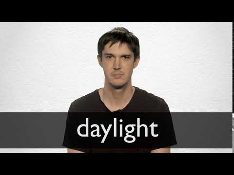 daylight synonym