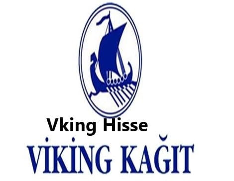 viking hisse