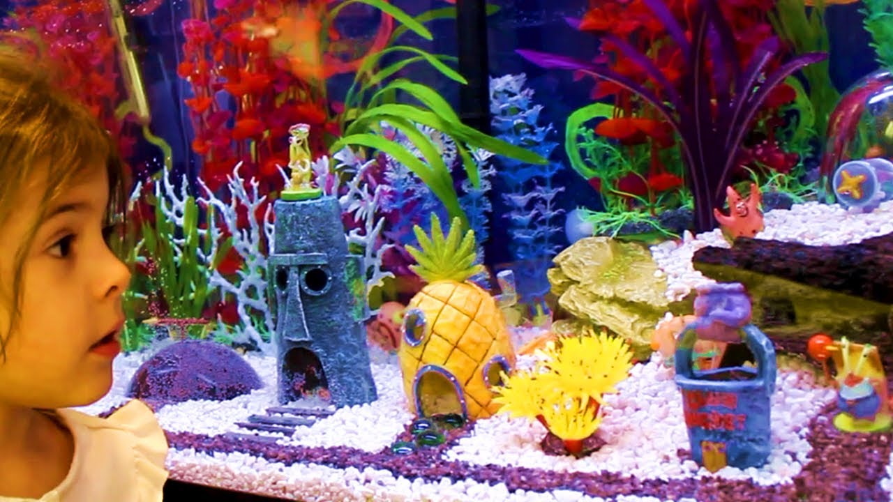 spongebob aquarium