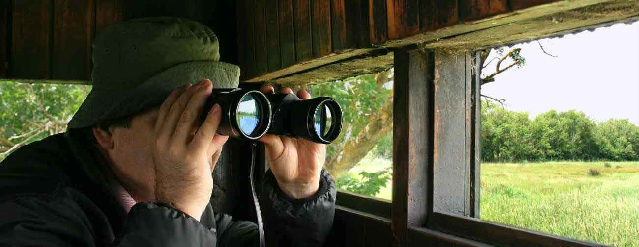 best binoculars for bird watching australia