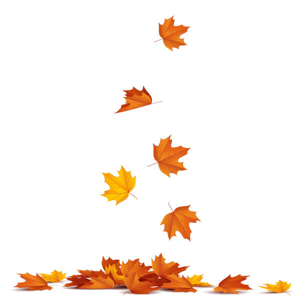 autumn leaves clip art