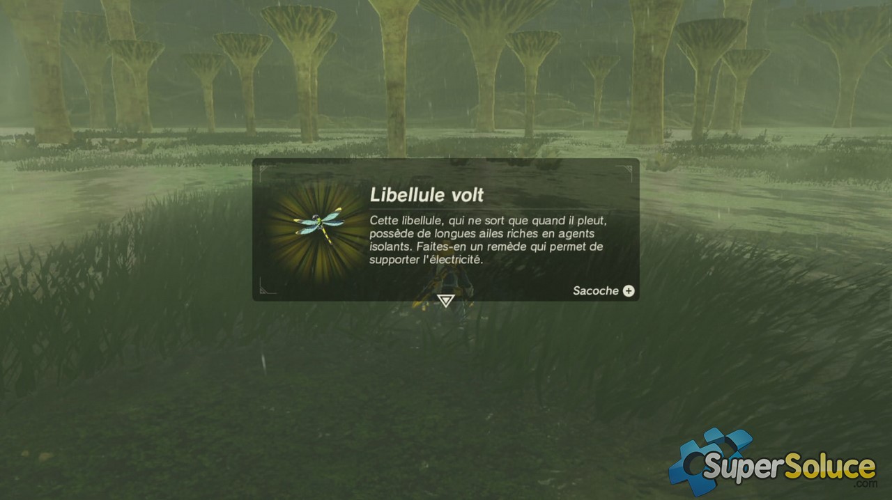 entomologie zelda