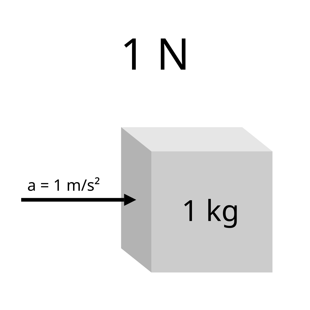 1n is equal to how many kg