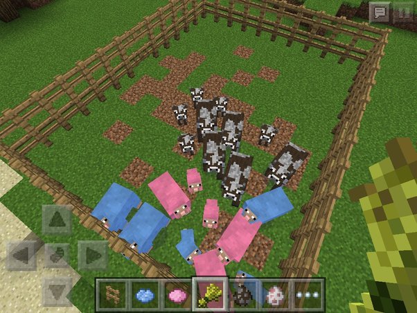 minecraft how to make sheep follow you