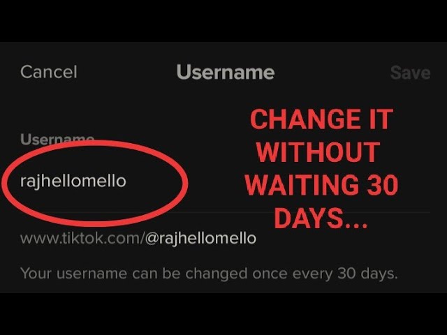 tiktok change username before 30 days