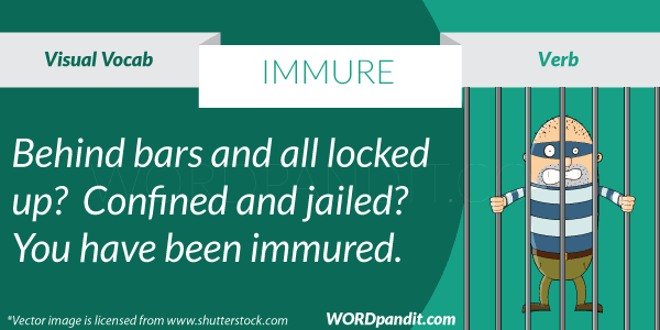 immure meaning