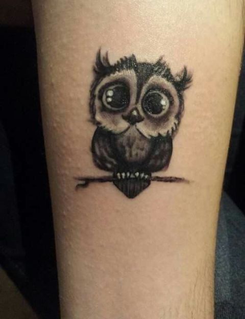 little owl tattoo