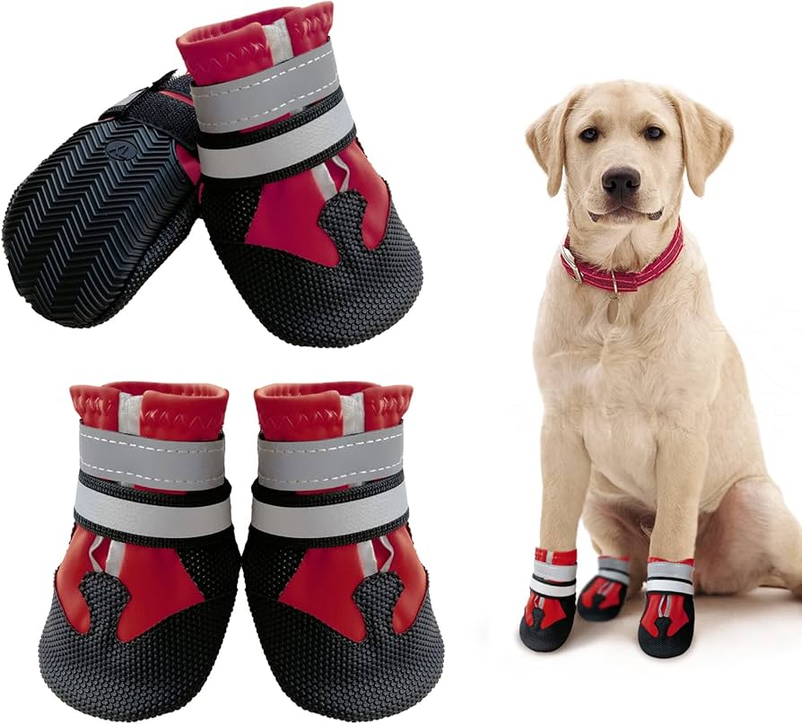 dog boots for injured paws uk