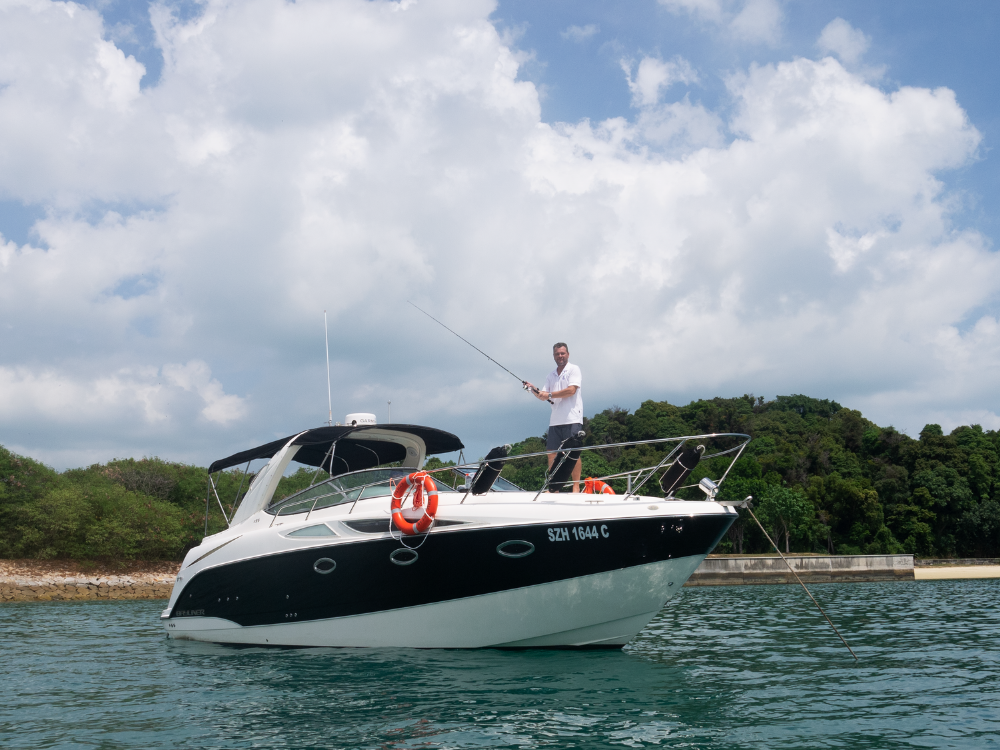 bayliner for sale near me