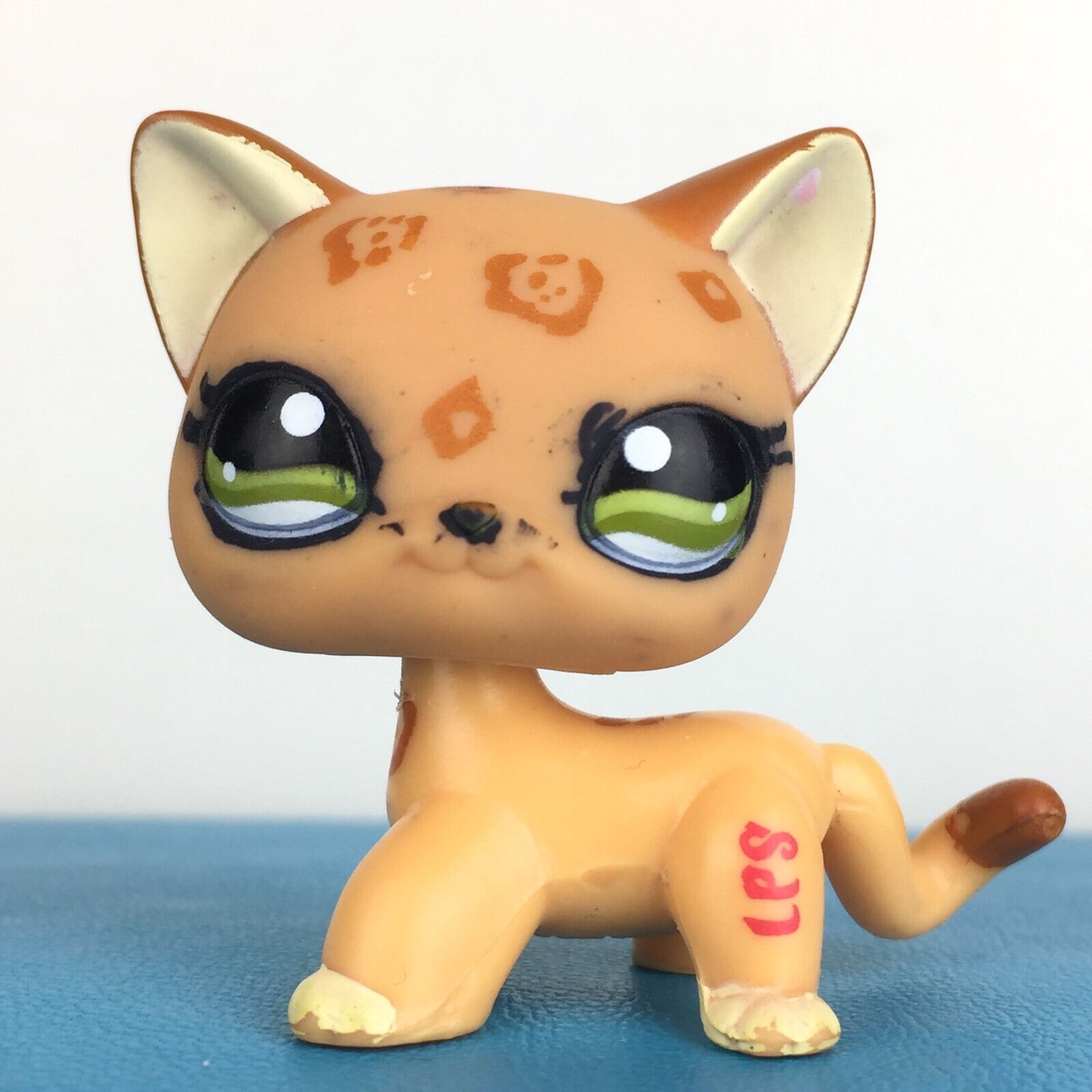 littlest pet shop short hair cat