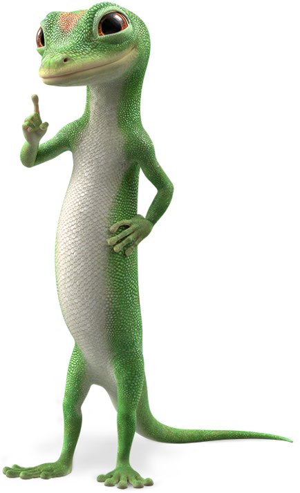 non owner car insurance geico