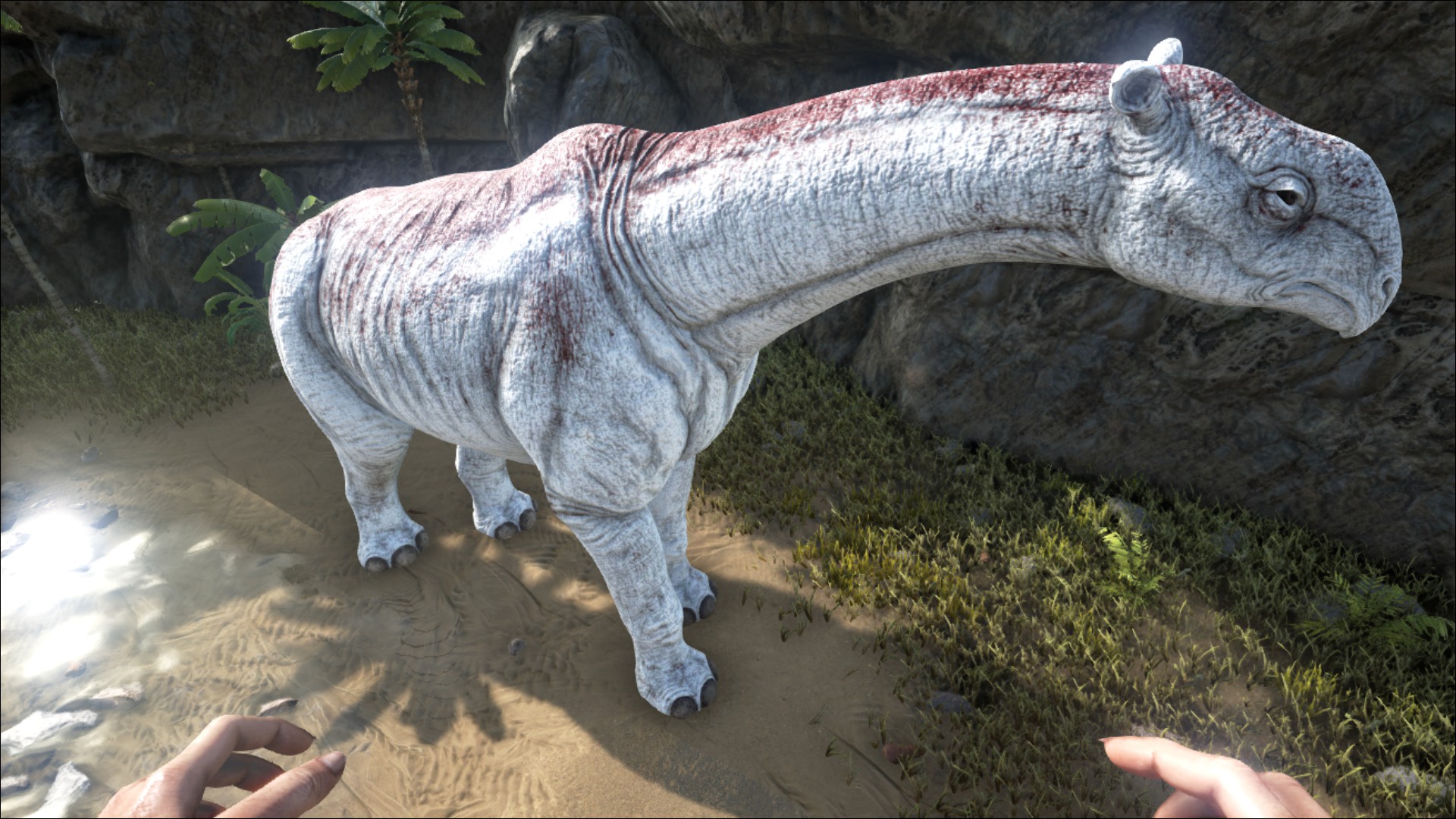 paraceratherium ark taming