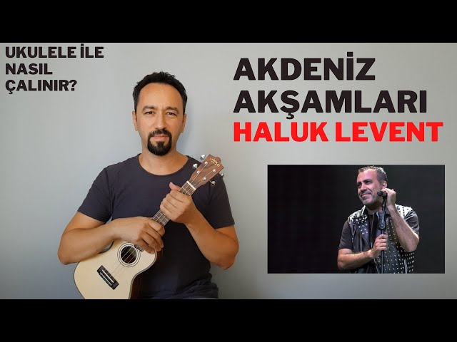 haluk levent ukulele