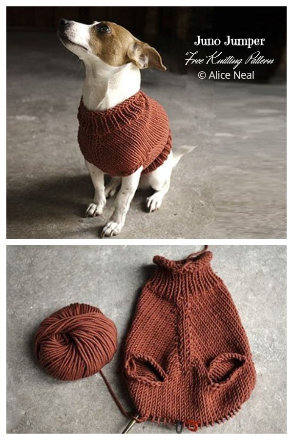 knitting pattern dog coat