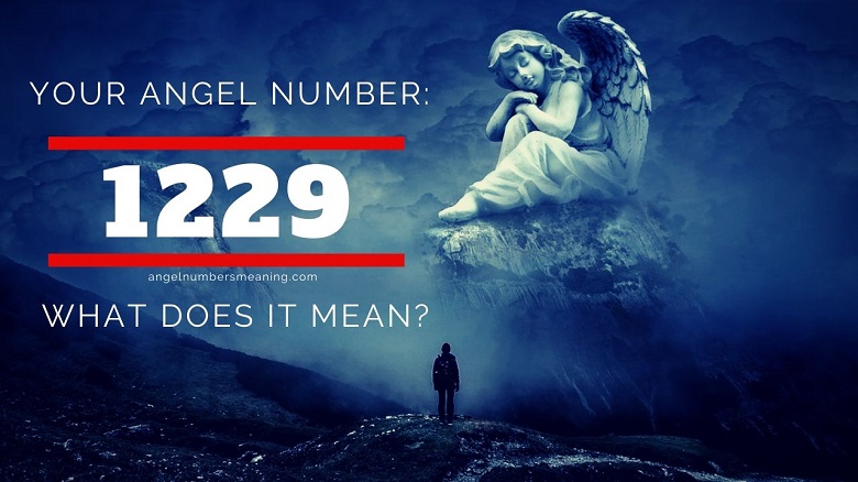 1229 angel number