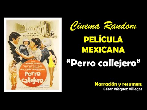 perro callejero pelicula completa