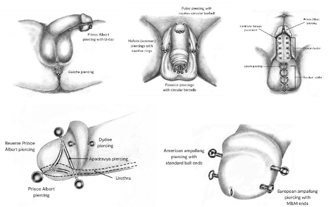 apadravya piercing price