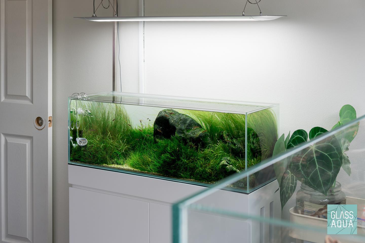 long rimless aquarium