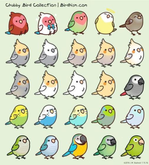 cute bird drawing