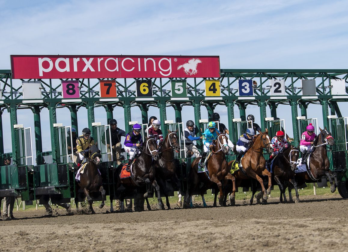 parx racing entries