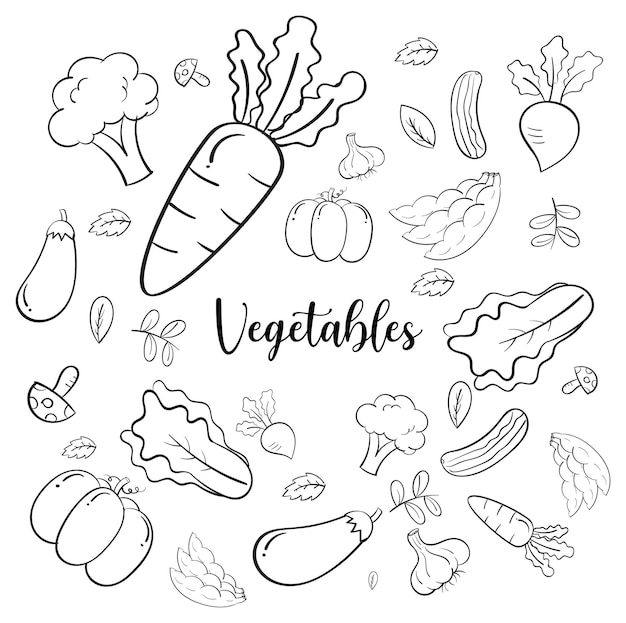 vegetable sketch images