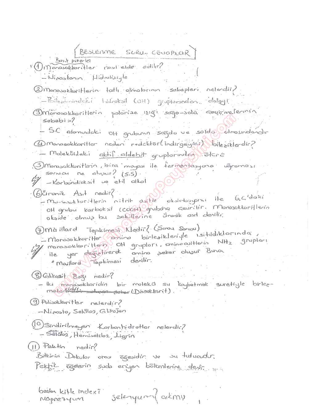 beslenme ilkeleri final soruları