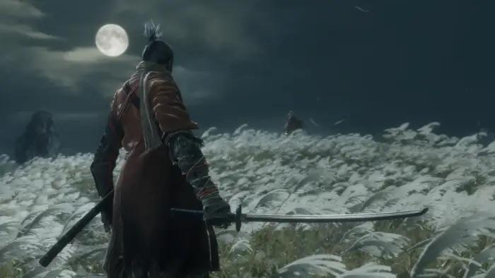 sekiro newcomer