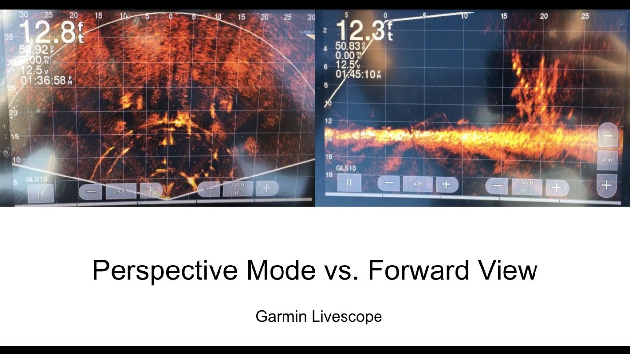 livescope down vs forward