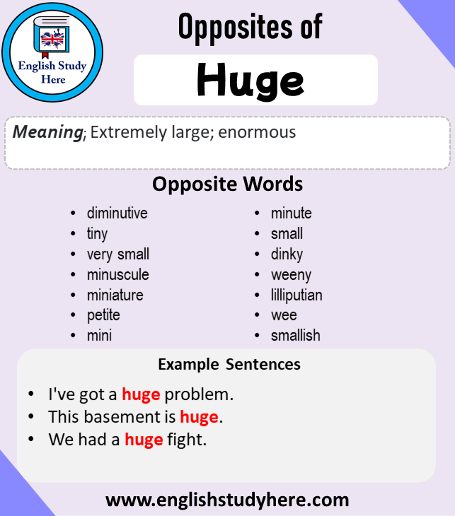 antonyms of large