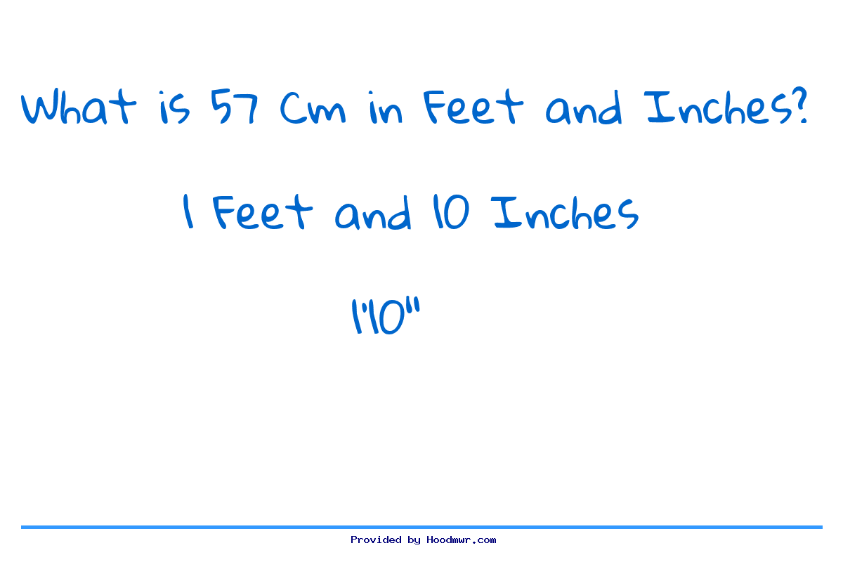 57cm to feet