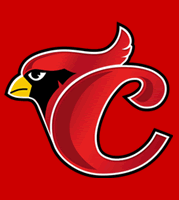 cardenales de lara vs