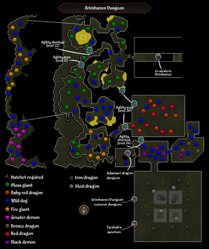 osrs brimhaven dungeon