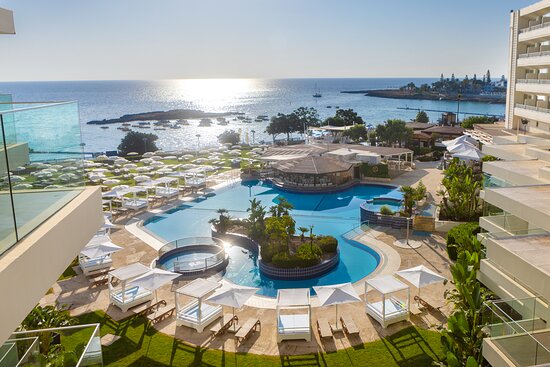 fig tree bay hotels