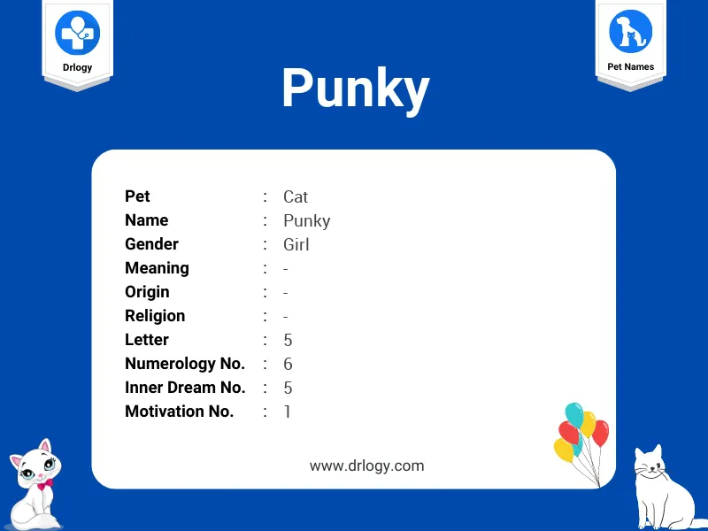 punky definition