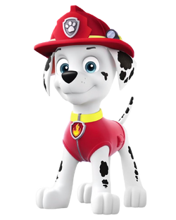 dalmatian paw patrol