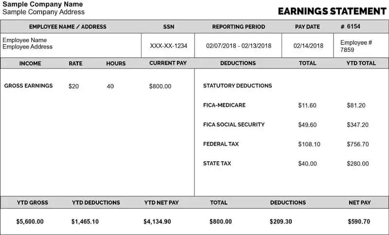 fake pay stub template