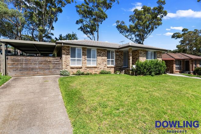 houses for sale medowie