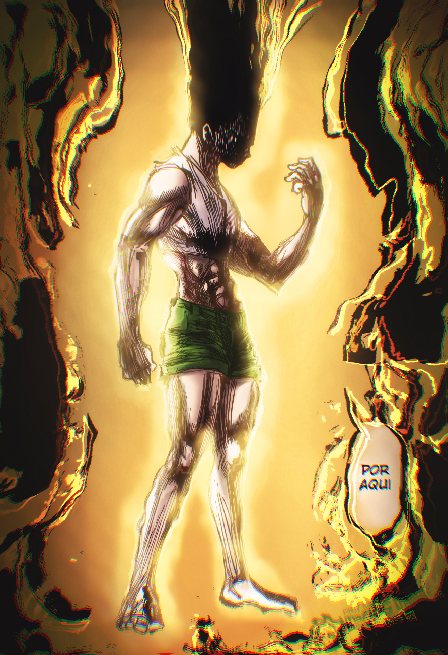 gon hunter x hunter transformation