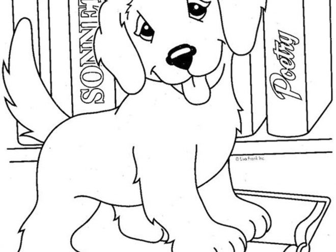 animal easy coloring pages