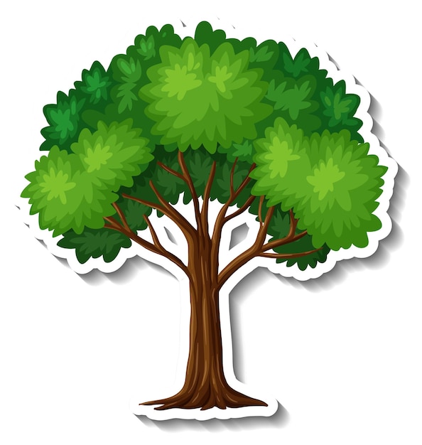 trees clipart