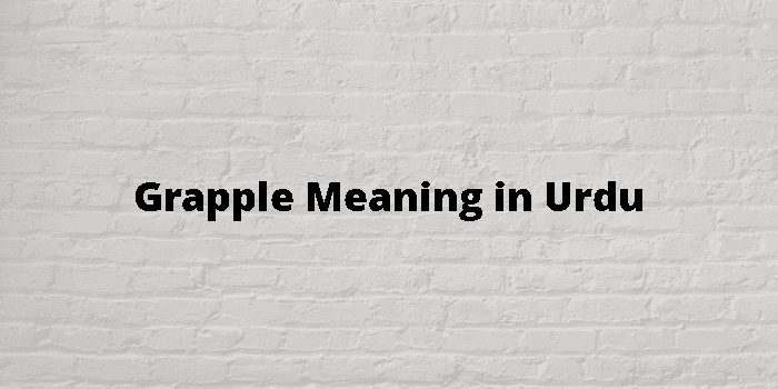 grapple meaning in urdu