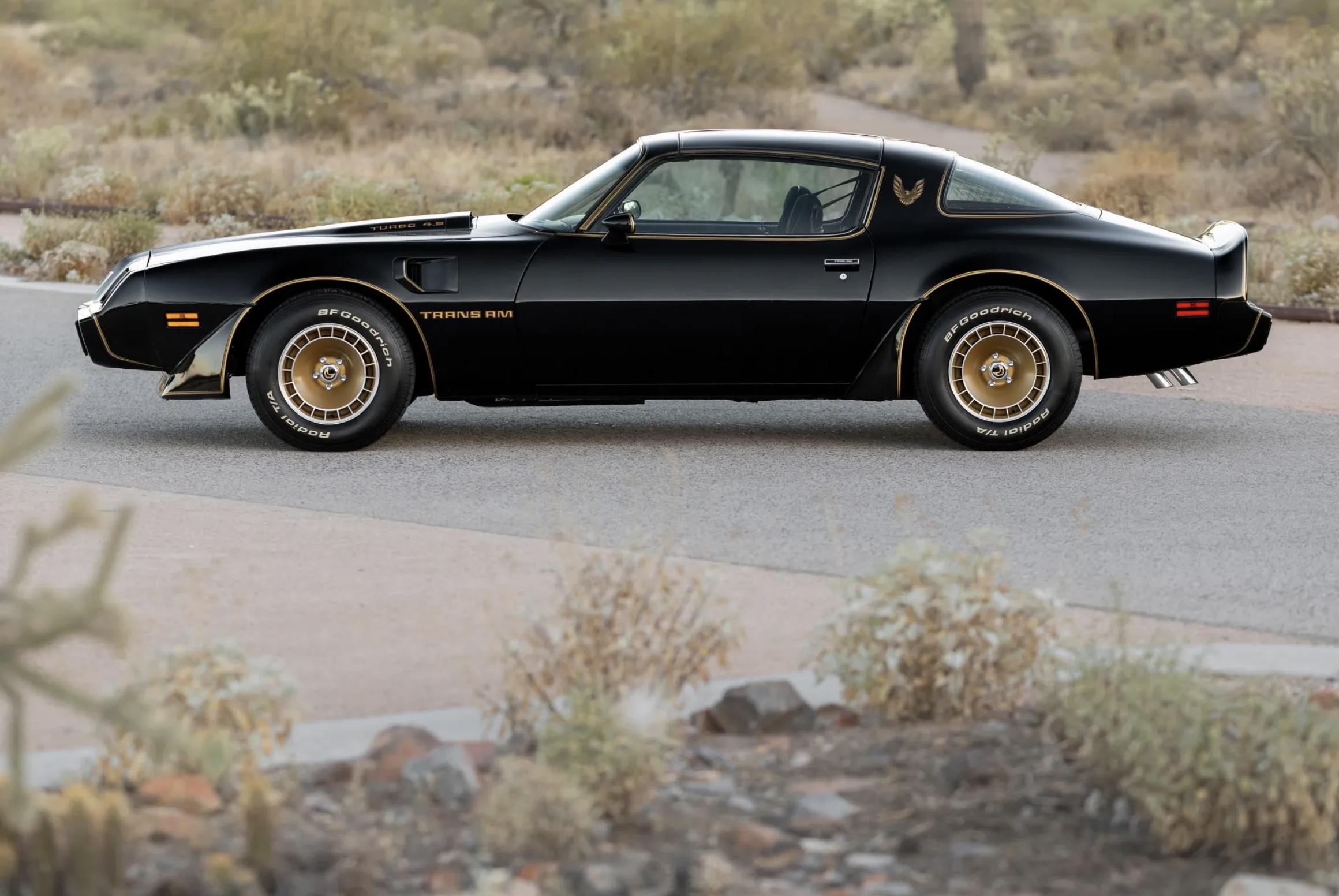 trans am