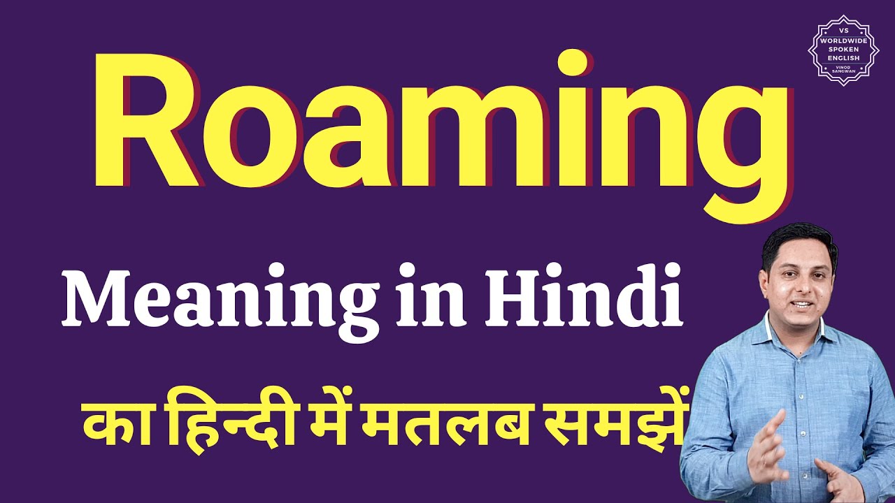 where are you roaming meaning in hindi