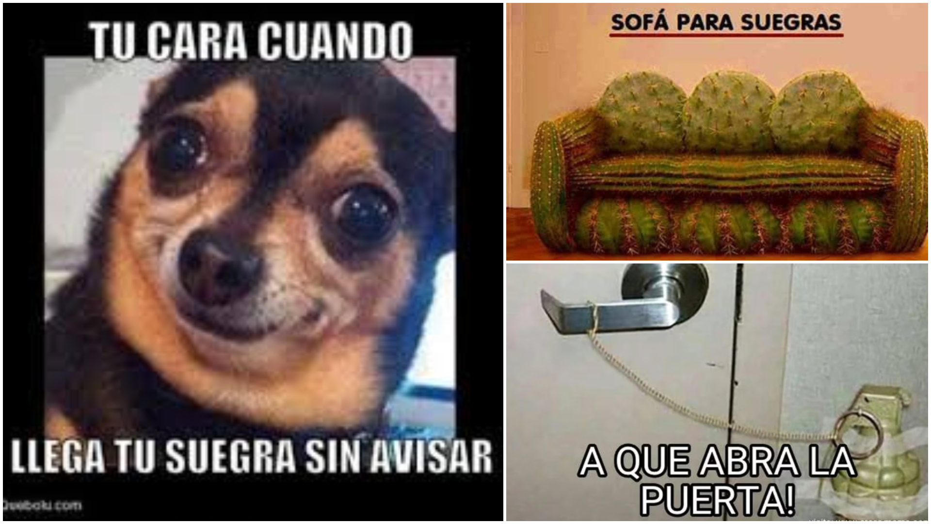 meme de la suegra